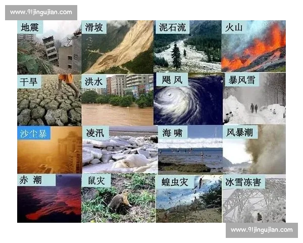 海啸形成原因影响及防灾减灾措施的全面探讨与科学应对研究 海啸形成原因影响及防灾减灾措施的全面探讨与科学应对研究